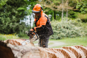 Bild von Heike Endemann, Radolfzell