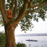 Baum mit Holzkunst, Ruderboot auf See. Bildende Künste im Freien.