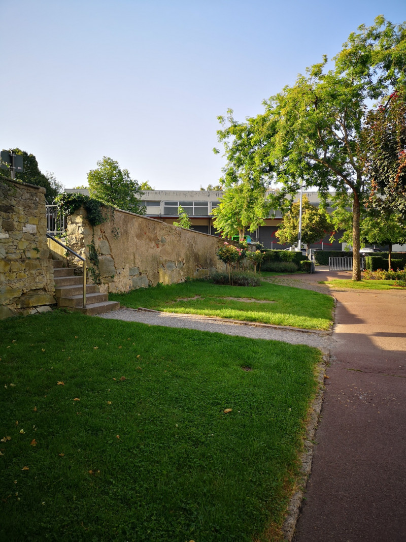Grüne Parkanlage mit Rasen, Bäumen und einer alten Steinmauer mit Treppe im Sonnenlicht.